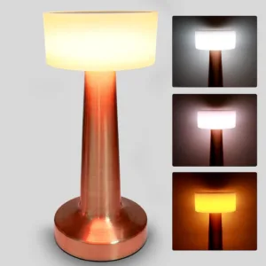 Decorative LED Desk Lamp with Touch Control